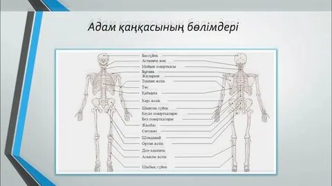 Тарзанмен секс туралы керемет ретро фильм