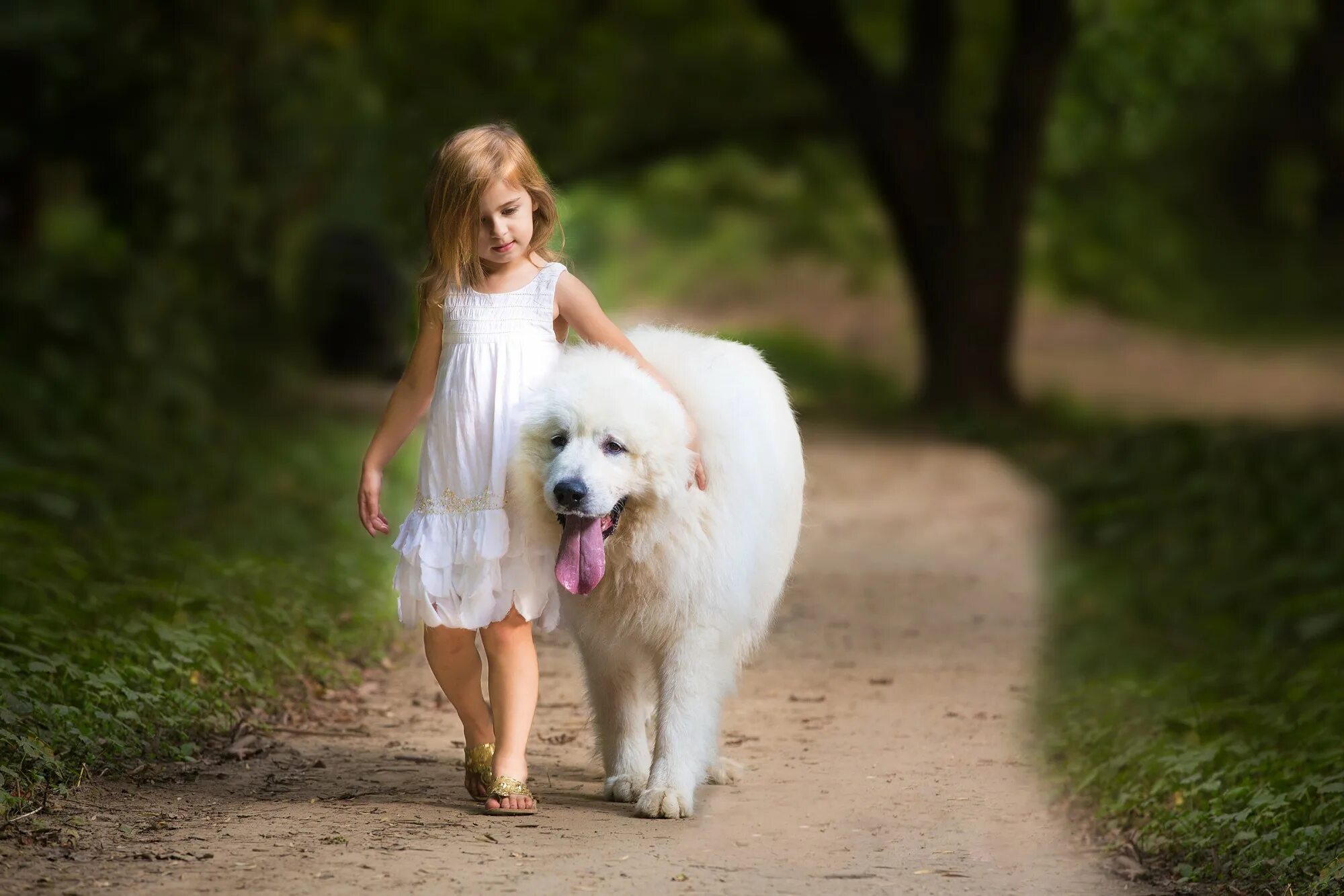 Девочка живет с собаками. Девочка с большой собакой. Собака для детей. Фотосессия с собакой. Детская фотосессия с собакой.