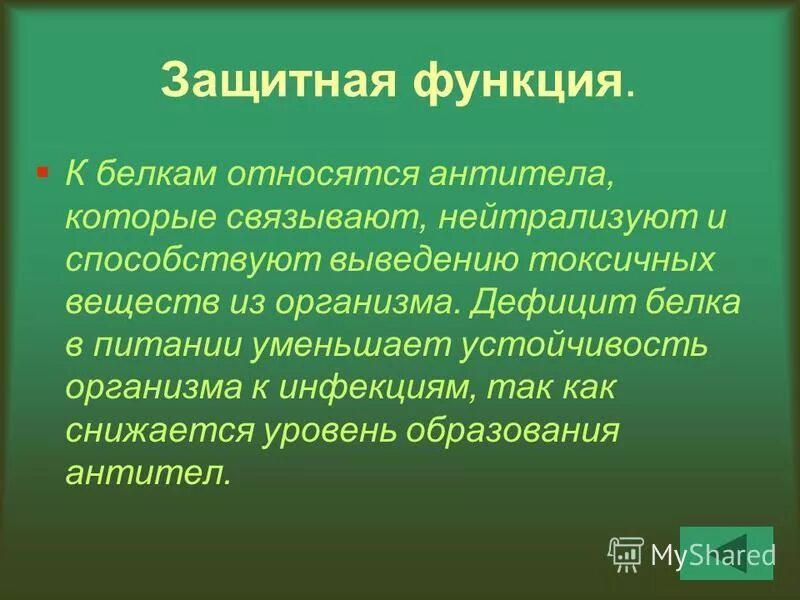 защитная функция белков примеры. функции белков защитные белки. функция белков-антител. белки плазматической мембраны функции. белки антитела функция.