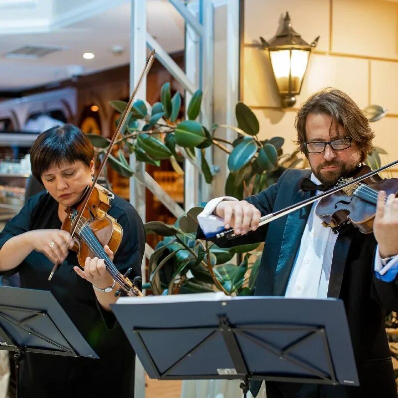 Группа strings. Группа strings