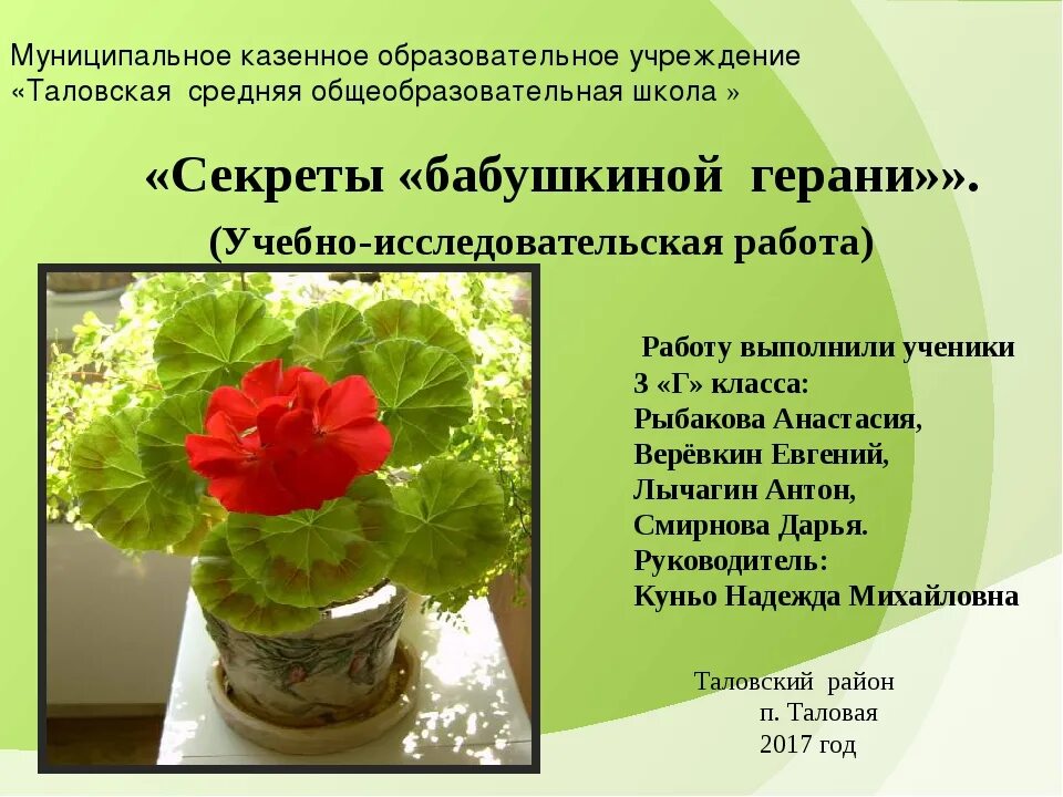 Описание листа пеларгонии