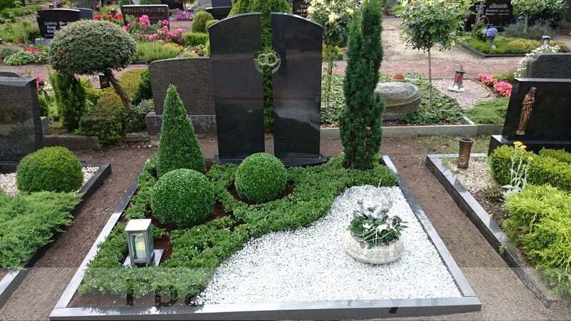 могила. туя на кладбище. лапник для укрытия могилы. могильные ели. украсить могилу.