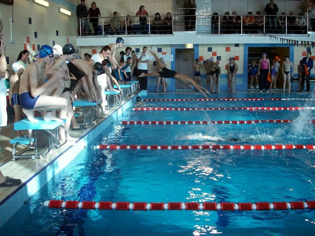 Дворец водного спорта дельфин кировск. Дворец спорта дельфин новоуральск. Бассейн дельфин новоуральск. Бассейн новоуральск. Бассейн дельфин новоуральск.