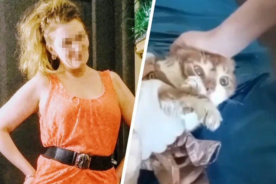 Кузя из северодвинска. Кот кузя северодвинск могила. Замучили кота в северодвинске. Живодеры убили кота кузю. Кот кузя из северодвинска.