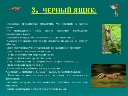 На каком материке обитает серый волк