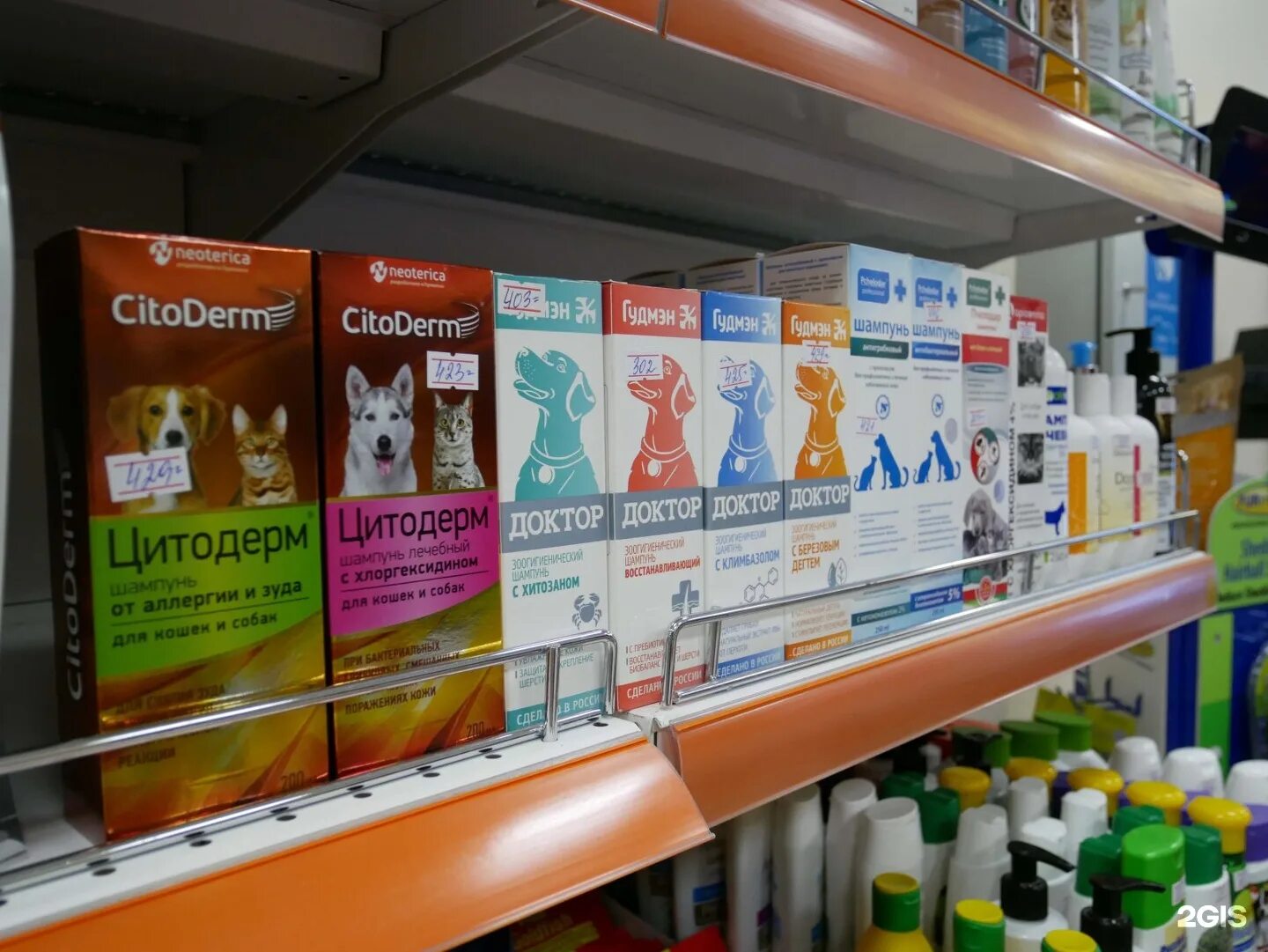 Магазин фауна. Животные в зоомагазине в сургуте. Магазин фауна. Магазин фауна. Зоомагазин сургут.