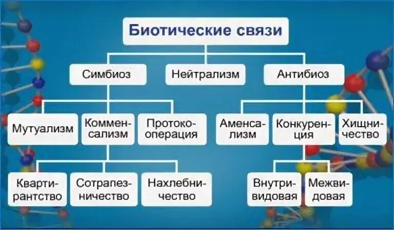 Биотические связи в природе 9 класс