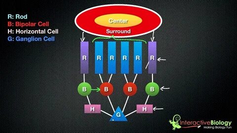 Center off
