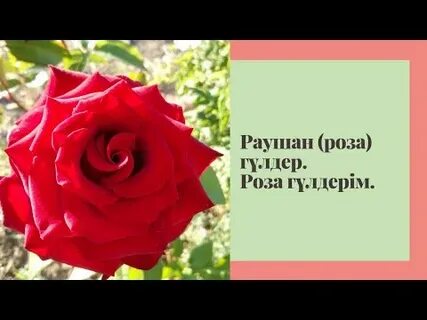 Таңертеңгілік секс туралы бейнені онлайн көріңіз