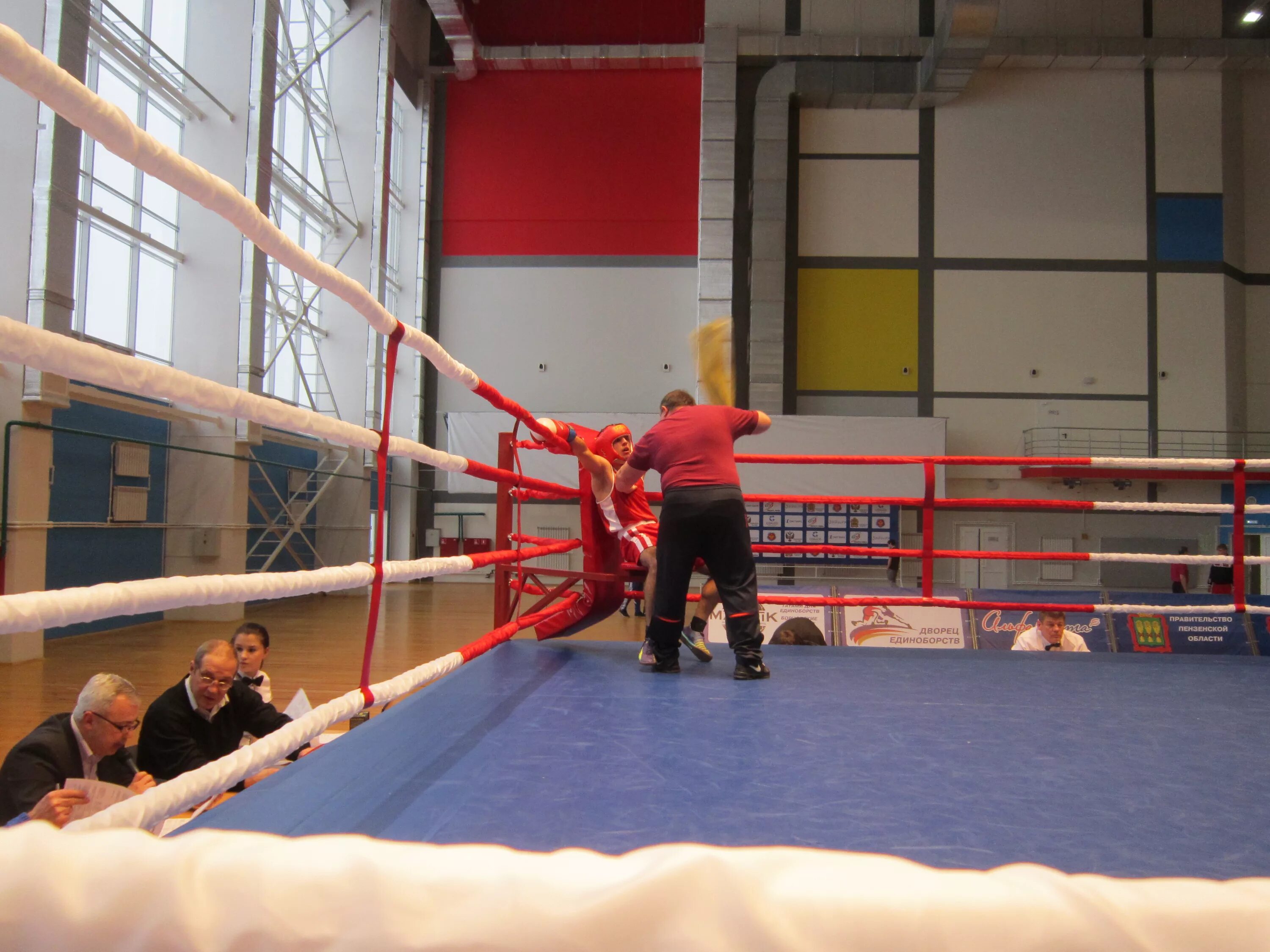 воейково пенза дворец единоборств. клуб боевых искусств русь федосеева. кикбоксинг в грязях. боевые искусства пенза. клуб боевых искусств русь пенза салют.