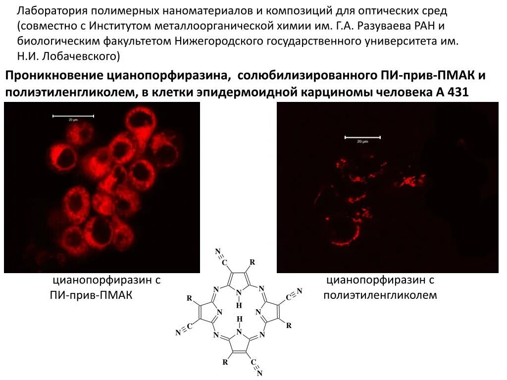 Лабораторная полимеры. Пластмассовая лабораторная посуда. Расходные материалы для лаборатории. Пробирка полимерная 3мл. Модификатор в полимеризации.