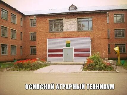 Оса осинский