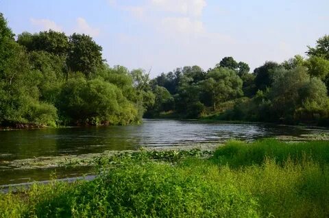 Ступино рамонский воронежская