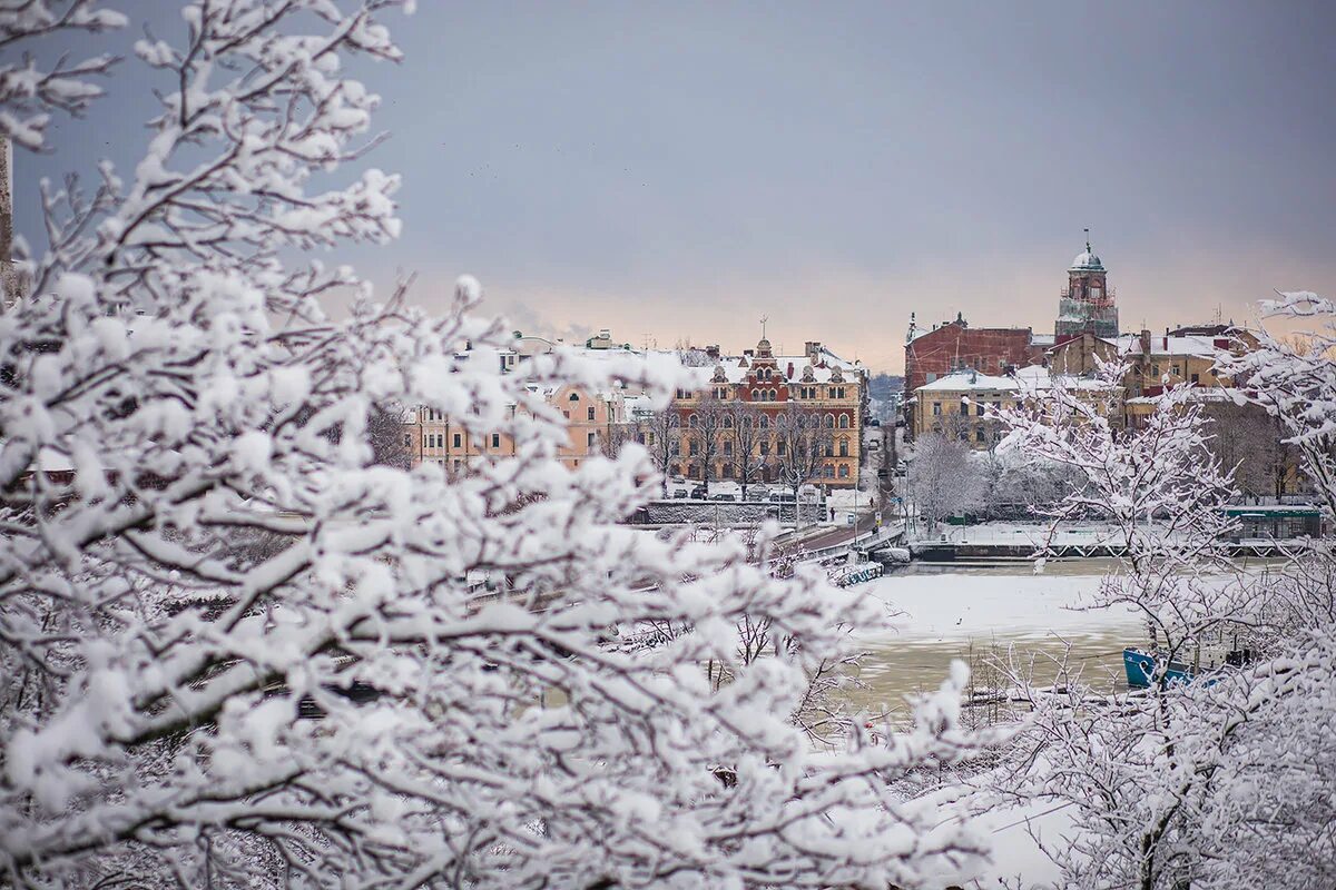 Крепость олафа в выборге. Крепость выборг зимой. Выборгский замок выборг зима 2022. Выборг зимой стоит ли ехать. Зима выборг выборгский замок (.