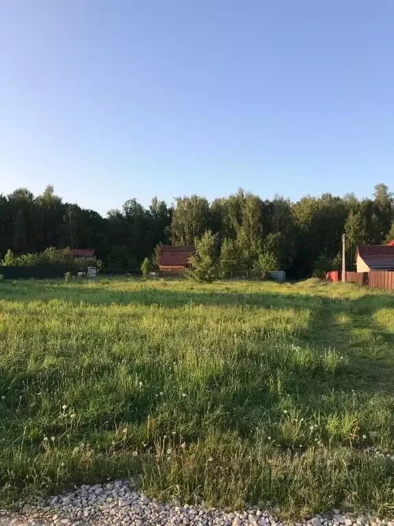 Улица в деревне. Алексин Тарусский район. Деревенская улица. Некрасово Кимрский район.