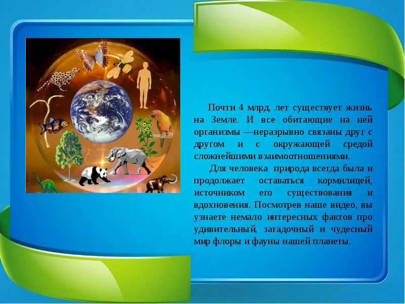 Изучение флоры и фауны. В мире флоры и фауны. флора и фауна презентация. описание флоры и фауны. презентация на тему флора и фауна.