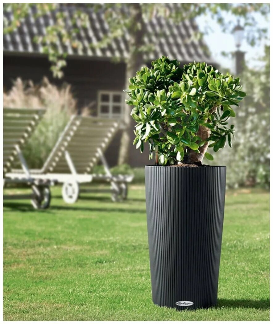 кашпо дельта 30 лечуза. кашпо лечуза кубико колор. кашпо lechuza cararo. кашпо дельта 30 лечуза. кашпо с автополивом lechuza classico premium 35.