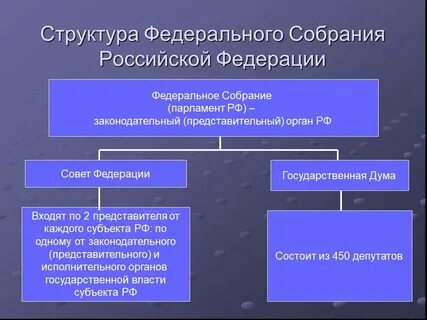 Органы образуемые палатами федерального собрания