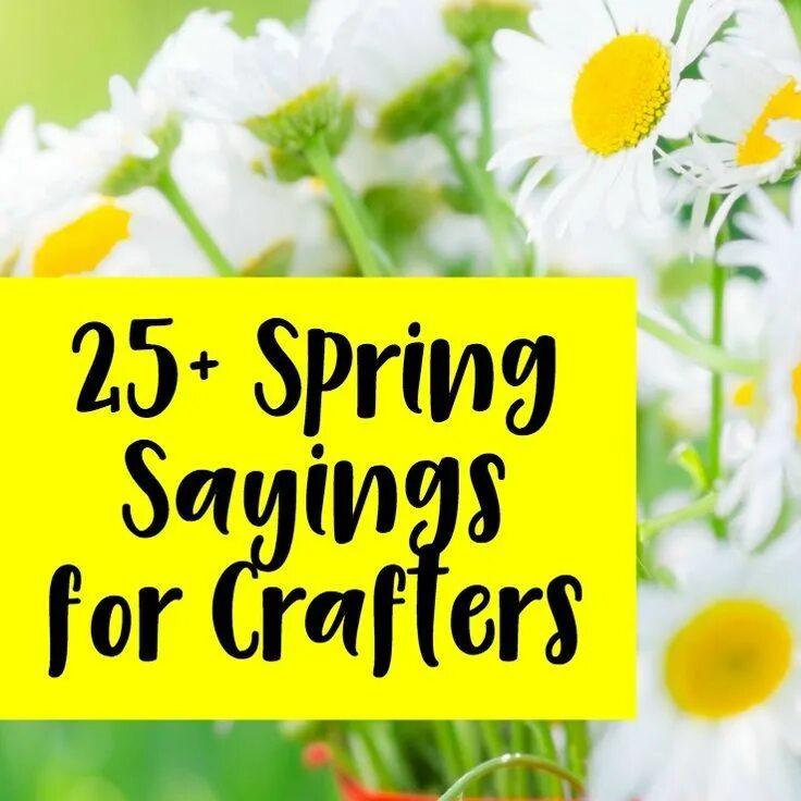 Spring advice. Spring quotes. phrases about spring. quotes about spring. spring slogan.