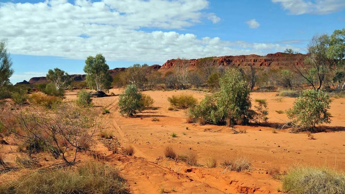 Засушливые области австралии. Малая Песчаная пустыня в Австралии. Great Sandy Desert Австралия. Пустыни и полупустыни Австралии. Тропические пустыни и полупустыни Австралии.