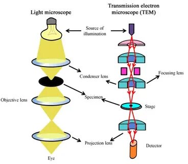 Transmission microscopy