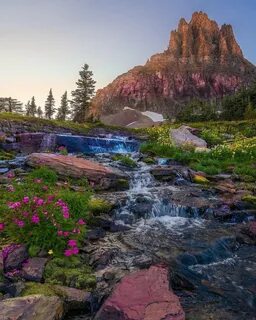 Explore nature