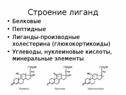 Гормон элементы