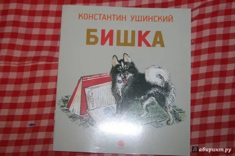 Бишка из нп
