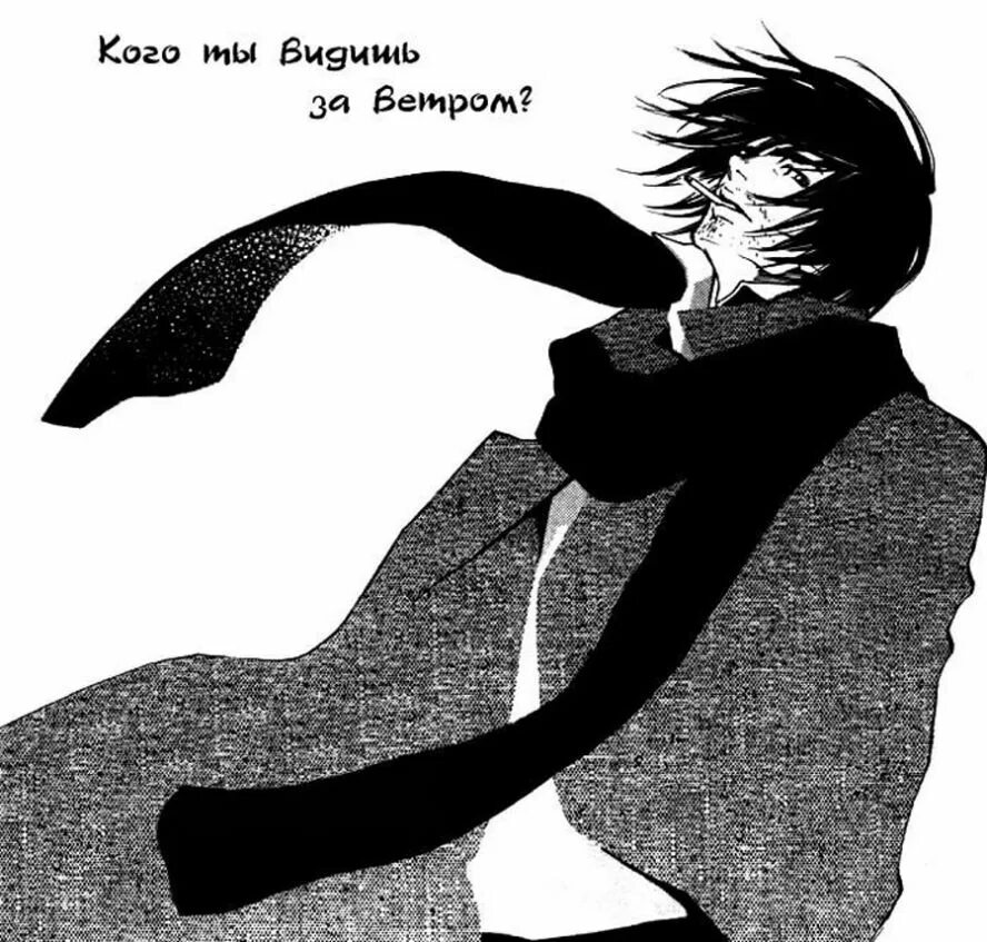 Ласт орг. Ласт орг