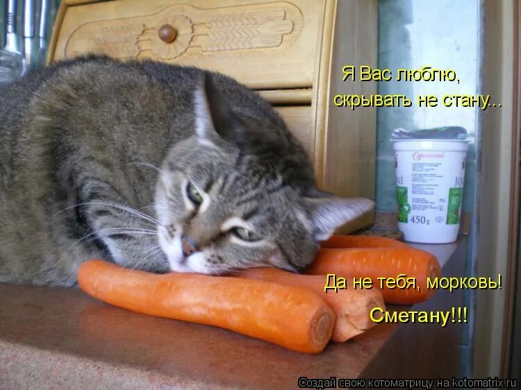 Ты зайка. Тест какой ты овощ. Дам тебе морковку и ты станешь. Притча про морковку яйцо и кофе. Кто ты из овощей.