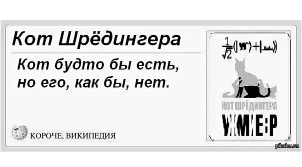 Кот Шрёдингера. Парадокс кота Шредингера. Теория кота Шредингера. Кот Шредингера эксперимент.