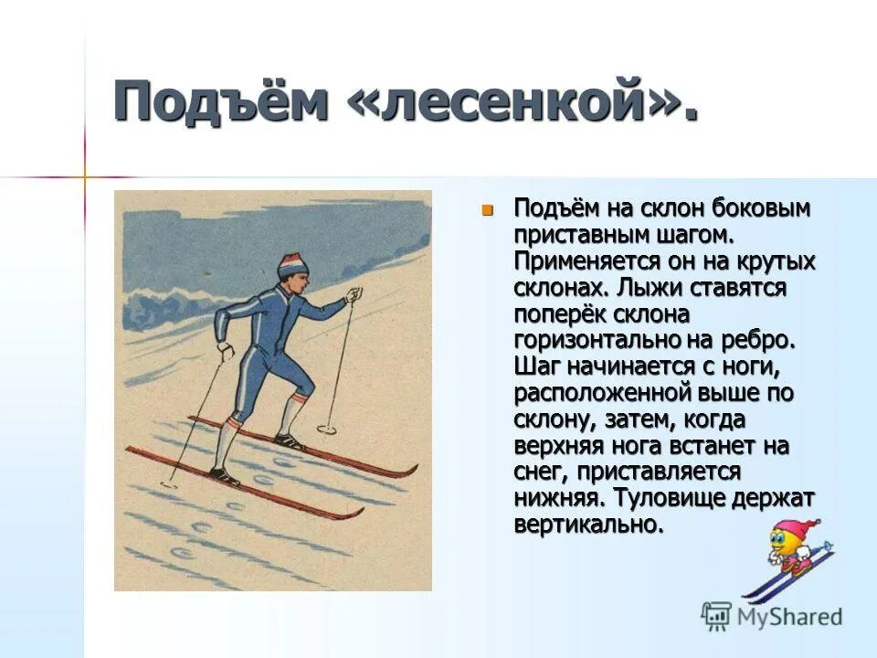 Доклад про лыжи по физкультуре. Доклад про лыжи по физкультуре