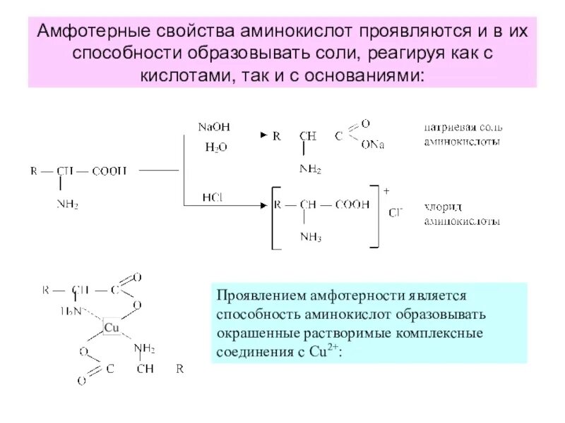 Аминоуксусная кислота уравнение реакции. Реакции доказывающие Амфотерность аланина. Амфотерные свойства аминокислот реакции. Амфотерные свойства аминокислот. Свойства аминокислот.