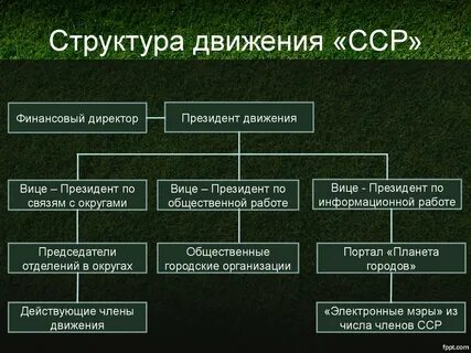 Структура движения