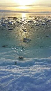 Какое море нашей страны не замерзает