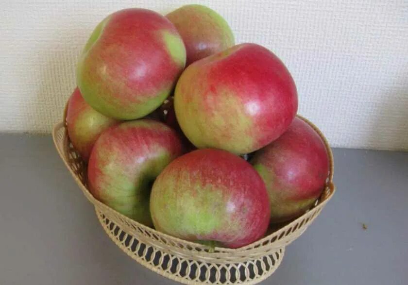 кримсон крисп сорт яблок описание. яблоня афродита. яблоня рождественское описание сорта. яблоня рождественское описание сорта. яблони бабяковского плодопитомника.