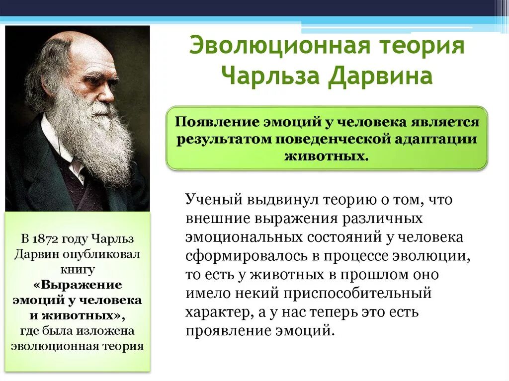 Ученые современной теории эволюции. Эволюционная теория Чарльза Дарвина. Эволюция теории Чарлза Дарвина. Психологические теории эмоций: эволюционная теория ч. Дарвина. Эволюционная теория происхождения эмоций ч.Дарвина.