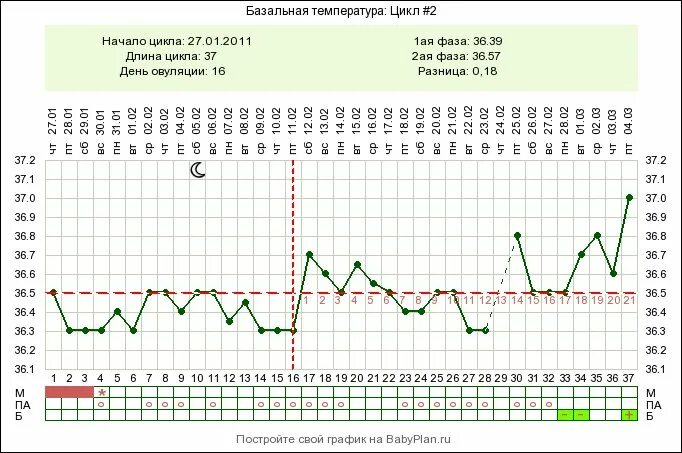 Базальная температура у женщин. График БТ при беременности двойней. График базальной температуры 36,7 при беременности. График базальной температуры при беременности 36.8. График базальной температуры беременной.
