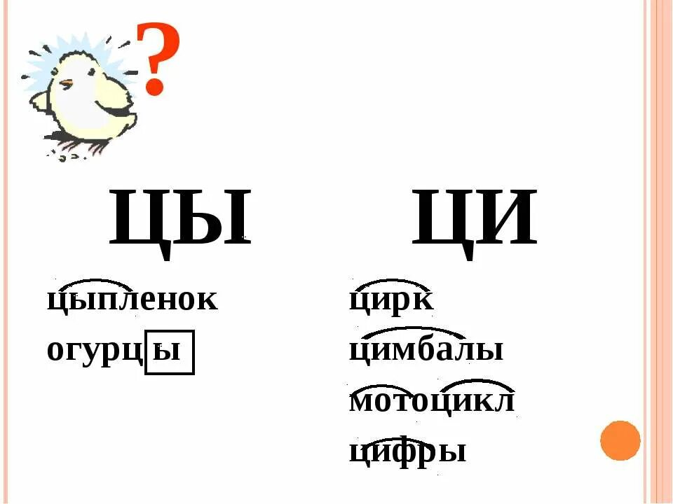 Слова которые пишутся с цы. Ы и цы ци. Ци правило написания и слова исключения. Правило написания цы ци в словах. Слова с ци в корне.
