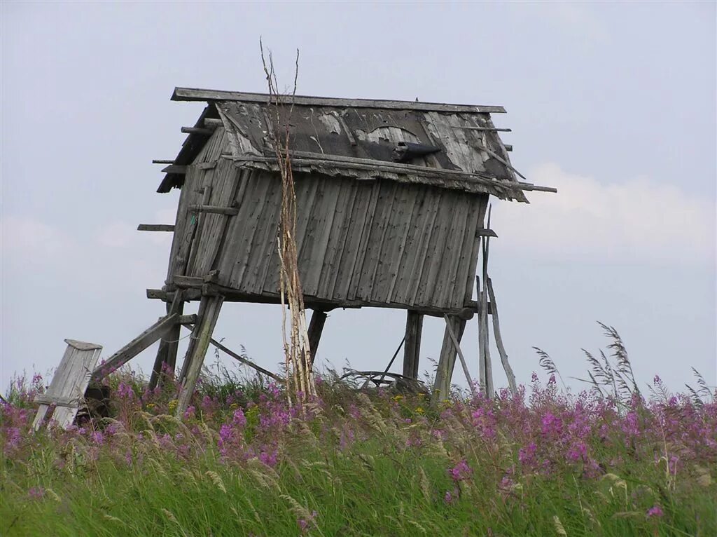 Бухта амбарчик. Амбарчик. Амбарчик. Бухта амбарчик. Черский зеленый мыс.