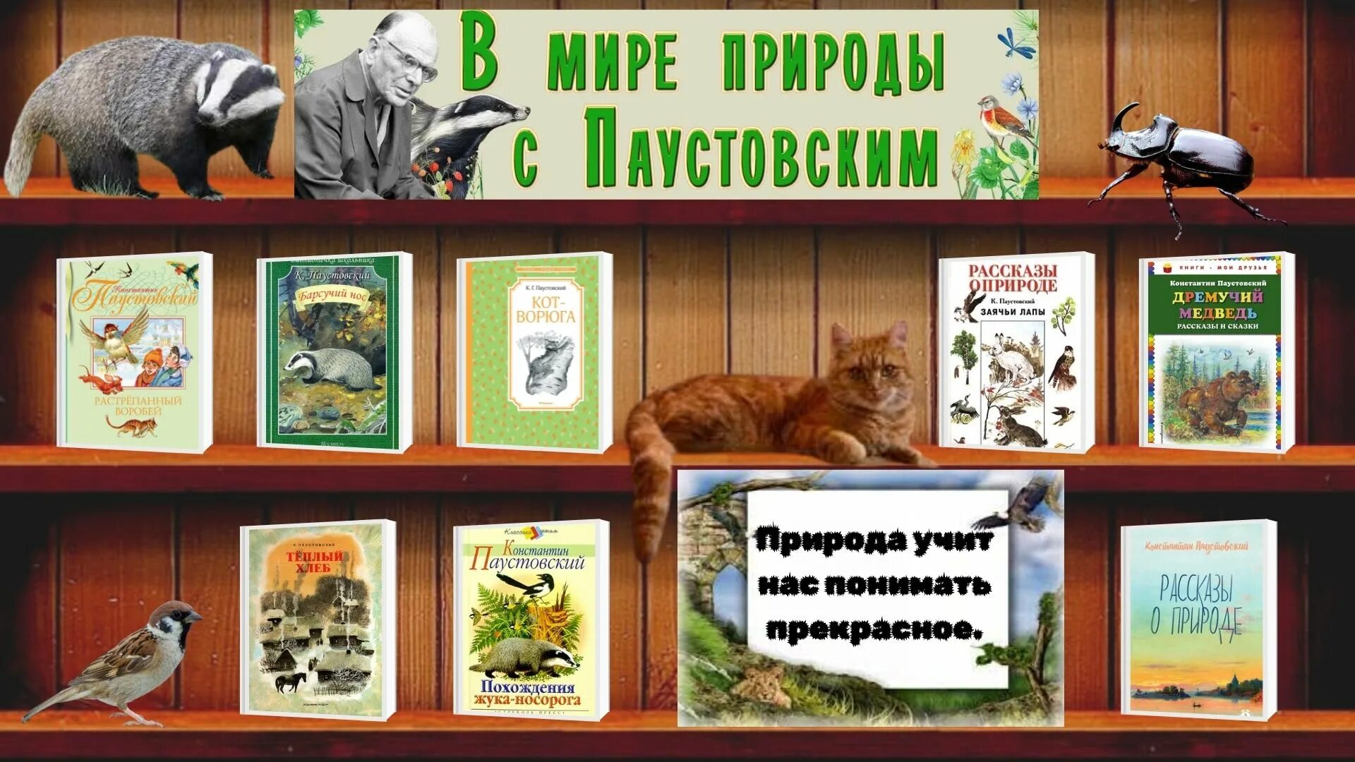 Рассказы к г паустовского 5 класс. Паустовский книги о природе. Выставка книг Паустовского. Книги Паустовского для детей.