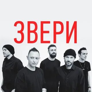 13 ноября звери тверь