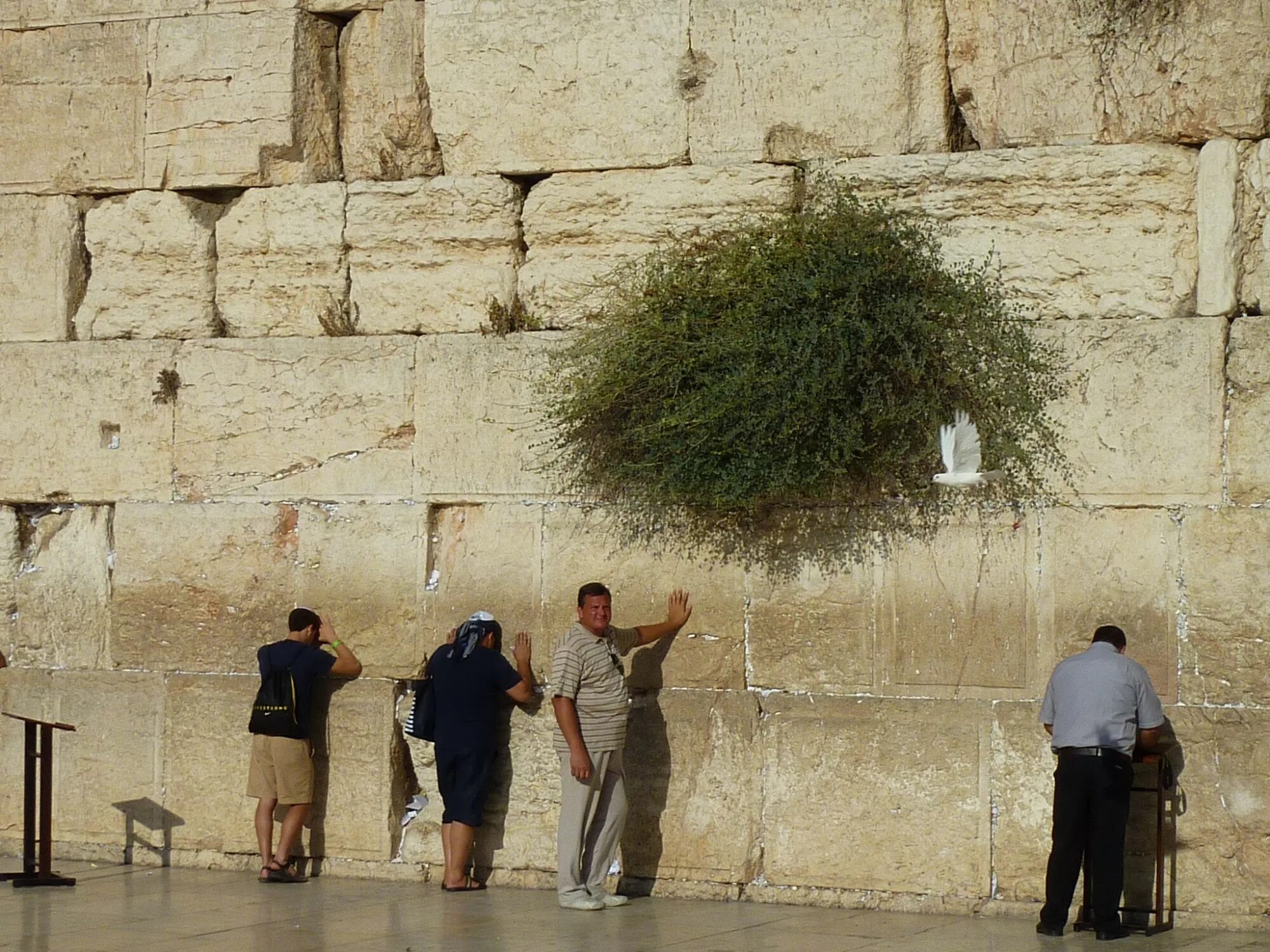 Transgendered woman barred from Jewish Western Wall holy site in Jerusalem The I