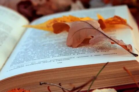 Музыка для чтения стихов