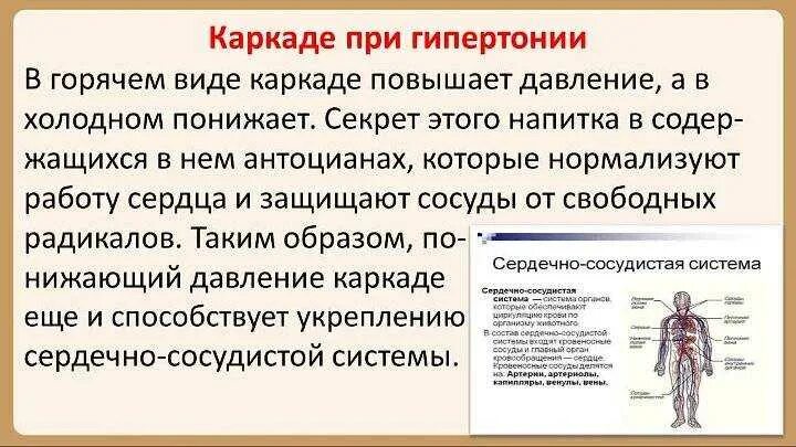 Каркаде чай повышает или понижает давление. Чай каркаде повышает или понижает давление горячий или холодный. Холодный каркаде повышает или понижает давление. Чай каркаде снижает давление холодный или горячий.