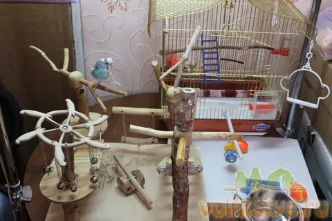 Игрушки для попугаев своими руками