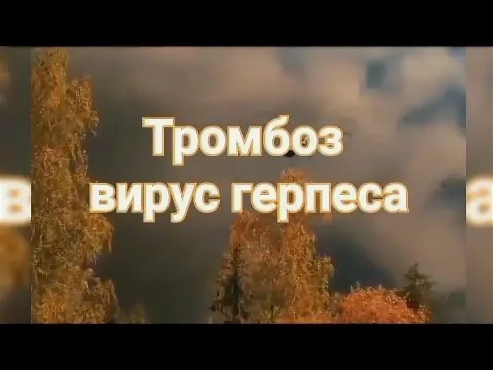 Матрица гаряева от герпеса