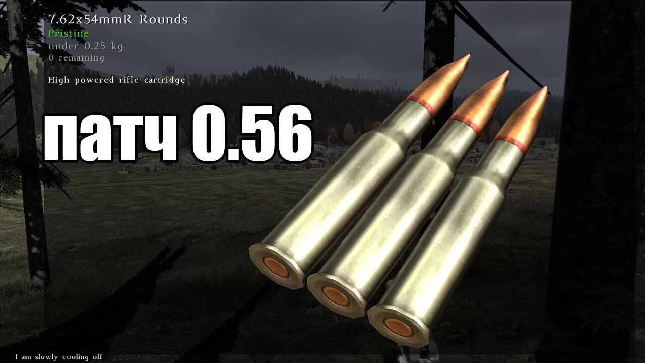Патроны 12. Патроны dayz. Патроны dayz. 45х39. 45 acp box.