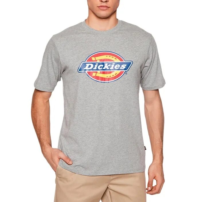Бренд dickies. Dickies что за бренд. Dickies что за бренд. Dickies логотип. Футболка dickies синяя.