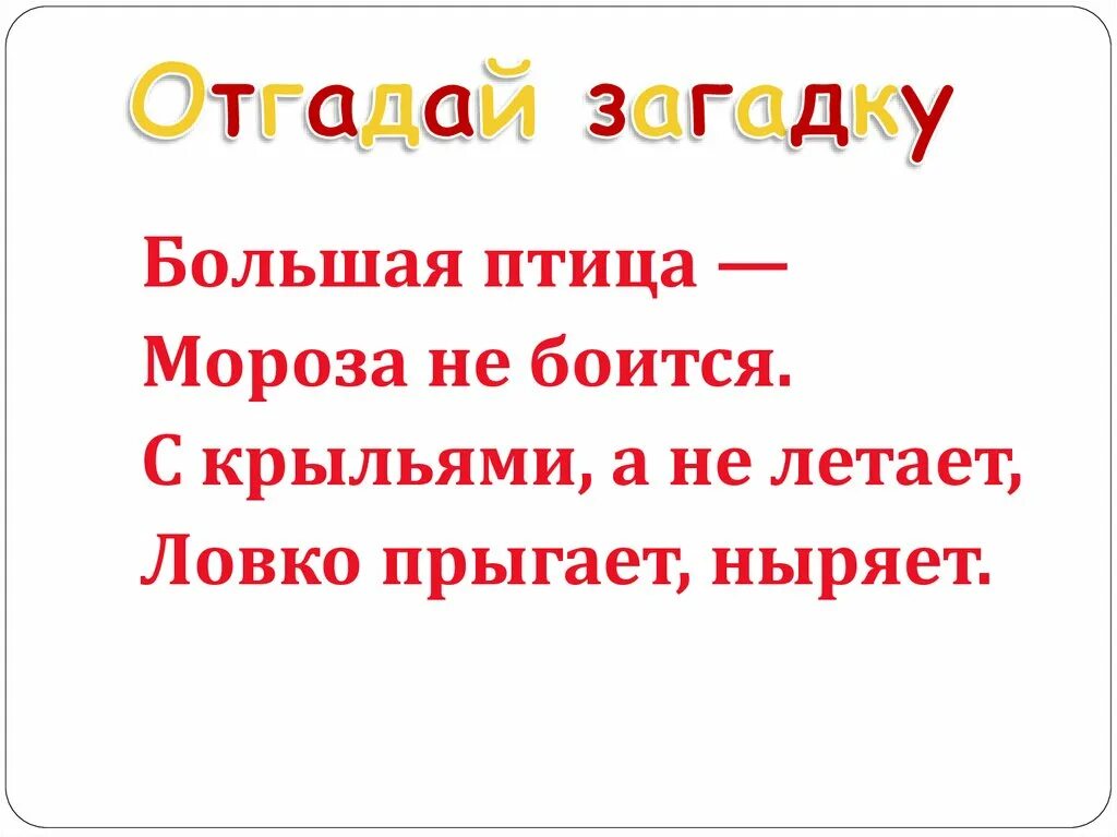 Угадай загадку ответ. Загадки без ответов. Загадки без отгадок. Загадки сложные загадки. Загадки отгадывать загадки.